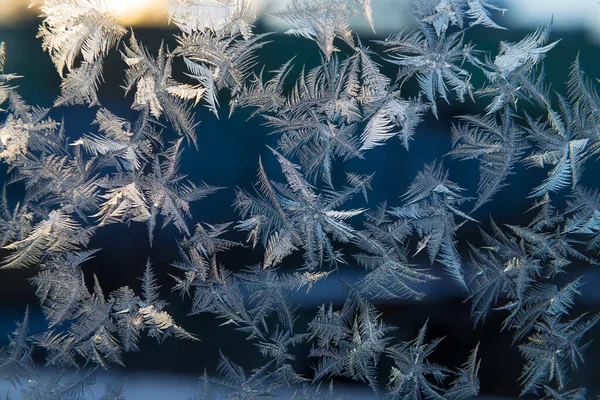 Prachtig Natuurlijk Vorstpatroon Winterraam Ijspatroon Winter Rechtenvrije Stockafbeeldingen