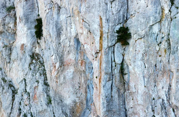 Tło skalne. Kamienna góra z roślinami — Zdjęcie stockowe