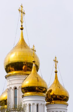 Saint Nicholas Manastırı şehirdeki Pereslavl-Zalessky, Rusya Federasyonu.