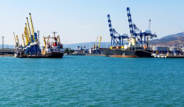 Kargo vinç Port