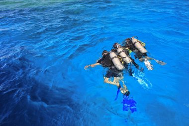 Kurbağa adam denizde