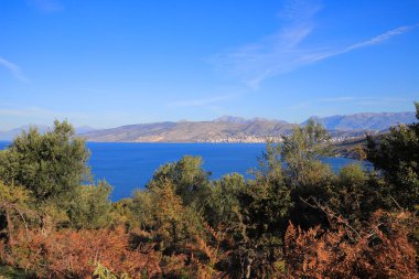 Ağaçlarla, denizlerle ve dağlarla dolu güzel bir manzara.