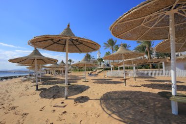 Beach in Egypt clipart