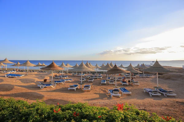 Beach in Egypt — Stock Photo, Image