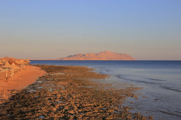 Pobřeží Rudého moře — Stock fotografie