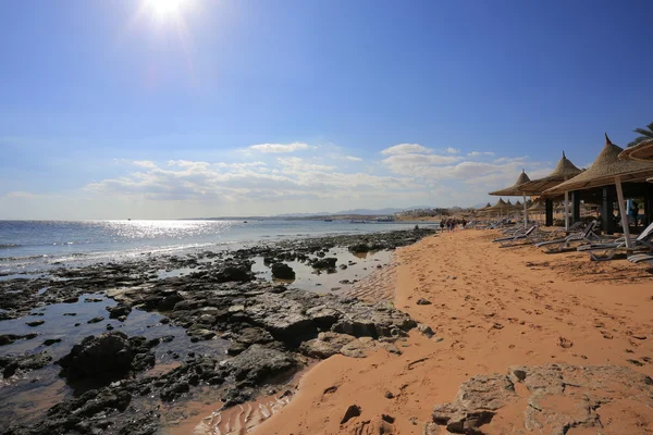 Strand i egypt — Stockfoto