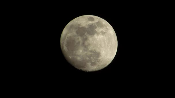 满月 — 图库视频影像