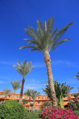Bir Sharm el-sheikh