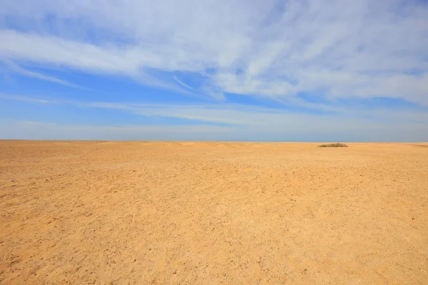 Desert — Stock Photo, Image