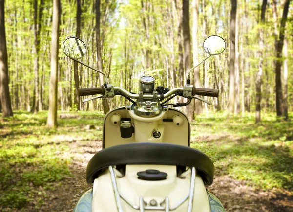 Een scooter in bos — Stockfoto