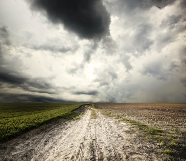 Yeşil buğday ve yol