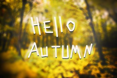 Orman ve Merhaba sonbahar yazıt