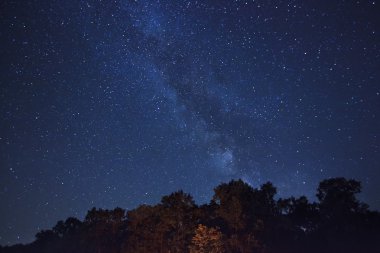 Güzel bir gece gökyüzü ve orman 