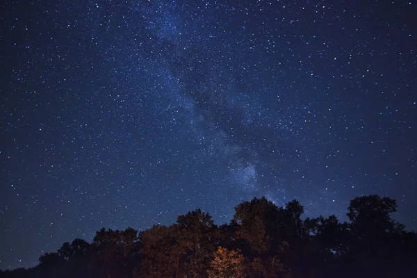 Güzel bir gece gökyüzü ve orman 