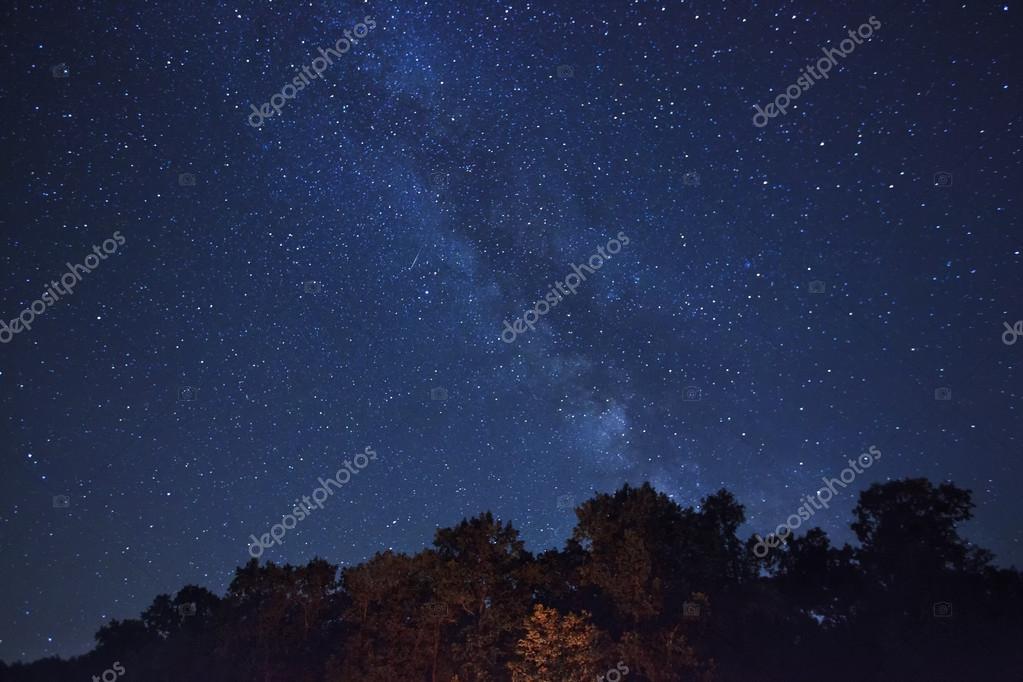 Forêt Et Ciel étoilé Magnifique Photographie Olegkalina