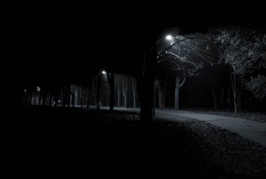 Sonbahar parkında sisli bir akşam.