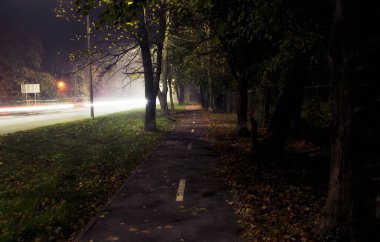 Gecenin karanlığında ağaçlar arasındaki sisli asfalt yol