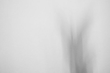 Beyaz duvarda gölgeler olan güzel arka plan.