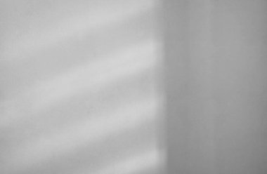 Beyaz duvarda gölgeler olan güzel arka plan.