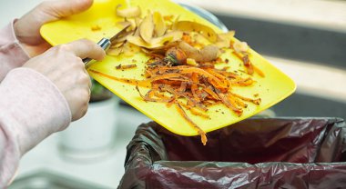 Sorumlu kadın organik çöpleri gübre için çöpe atıyor.