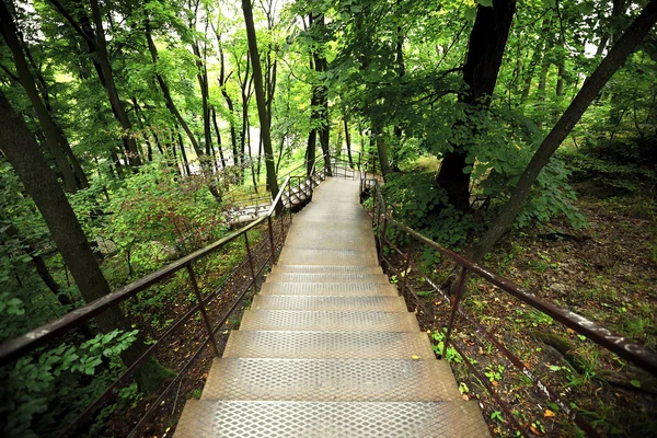 Parktreppe — Stockfoto