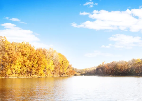 Forest and river — Stock Photo, Image