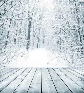 Winter forest with snow and floor clipart