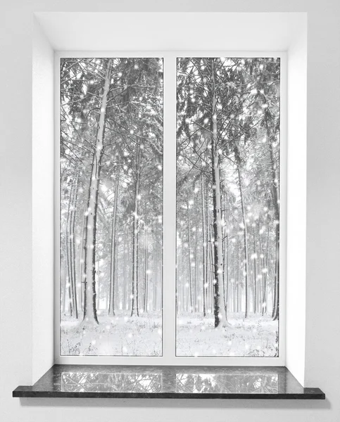 Winter in the window — Stock Photo, Image