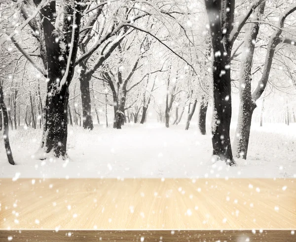 Fond en bois avec forêt d'hiver — Photo