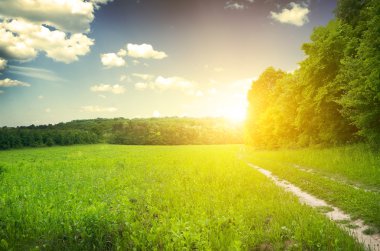 Güzel sabah alan