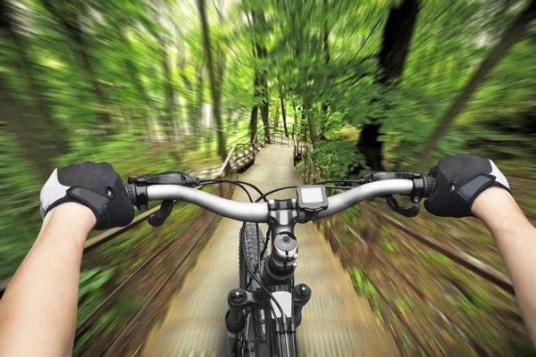 Mannelijke handen op fiets stuurwiel — Stockfoto