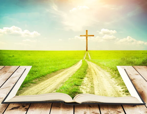 Grama e um caminho que anda em direção a uma cruz — Fotografia de Stock