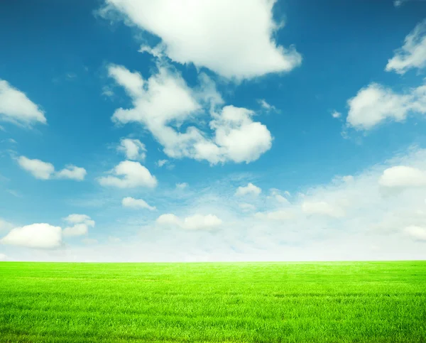 Campo verde con cielo azul — Foto de Stock