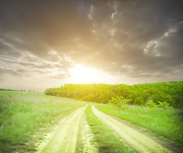 Campo com floresta e céu escuro — Fotografia de Stock