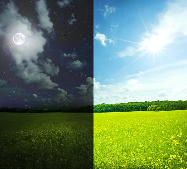 Zelená pole ve dne i v noci — Stock fotografie