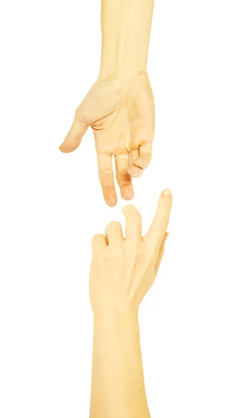 Männchen streckt weibliche Hand aus — Stockfoto