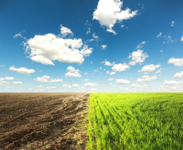 Campo com grama e terra e céu azul — Fotografia de Stock