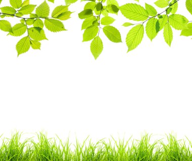 dalları yaprak ve ot ile