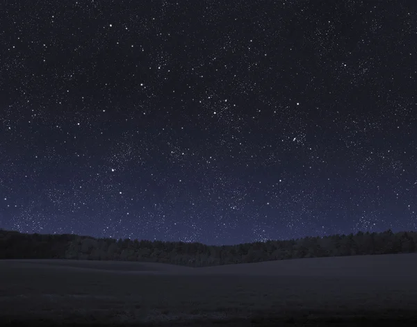 Alan, orman ve gece gökyüzü