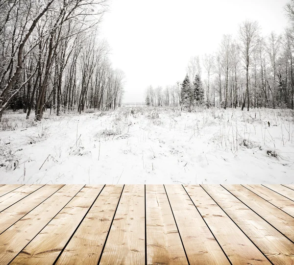 Árvores nevadas na floresta — Fotografia de Stock