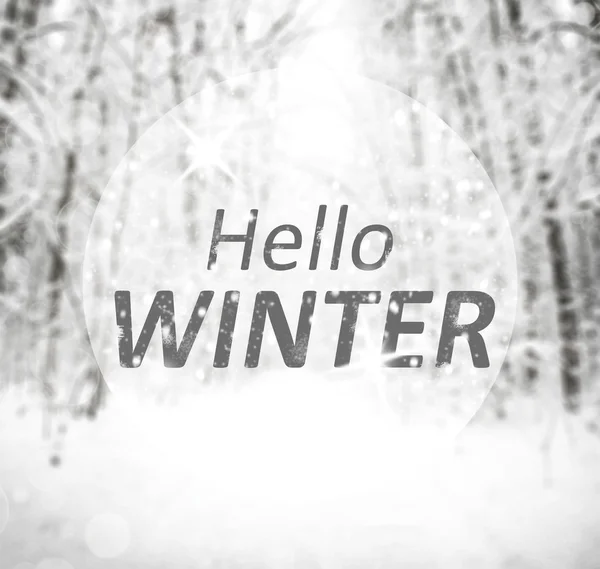 Hola inscripción de invierno — Foto de Stock