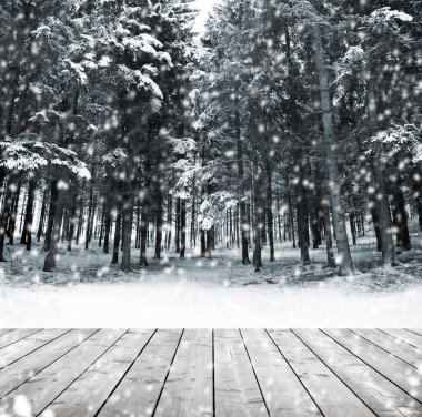 Karla kaplı ağaçlar