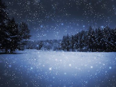 Gece park ve birçok kar taneleri