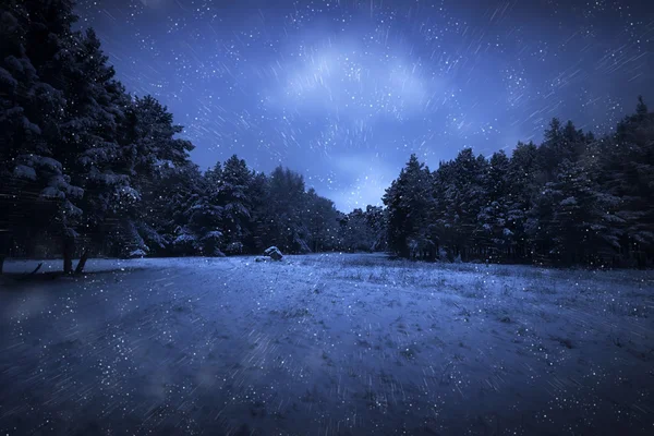 Parque noturno e muitos flocos de neve — Fotografia de Stock