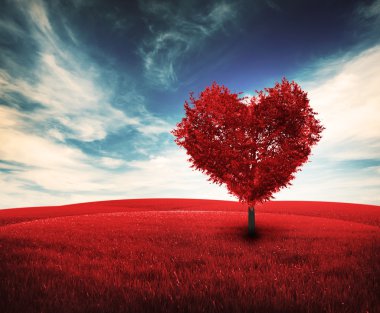Kırmızı kalp şeklinde ağacıyla