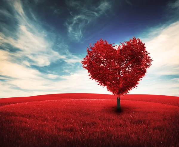 Red tree with shape of heart — Stock Photo, Image