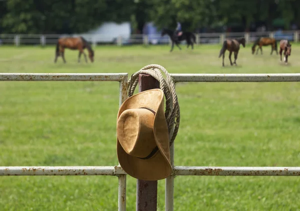 Cavallo ranch americano — Foto Stock