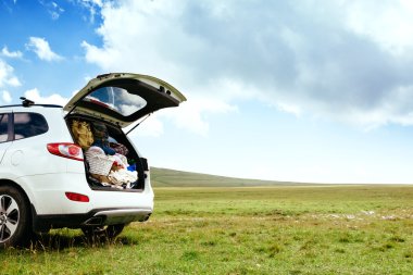 Araba tam gövde alanı ile