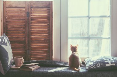 pencere kenarı