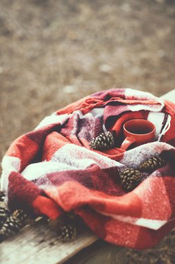 Ormanın içinde hafta sonu